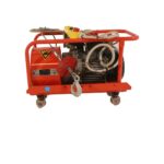 Electroguinche | DT300CT | 300 Kg