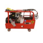 Electroguinche | DT500ST | 500 Kg