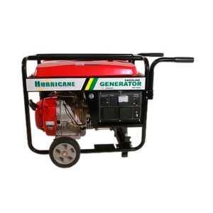 Grupo electrógeno | 10 Kva | Monofásico | LT11000CLEMCR